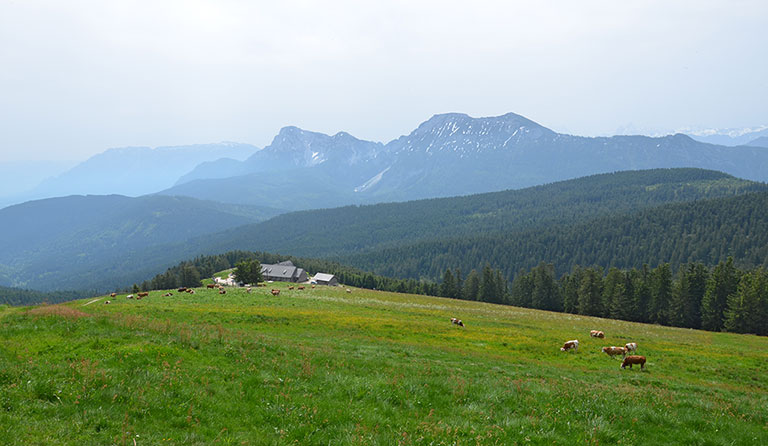 Teisenberg (1333 m) und Stoißer Alm von Anger