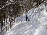 Der breite Forstweg lässt sich meist auch im Winter gut begehen