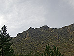 A Muvrella