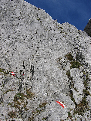 Immer bestens markiert