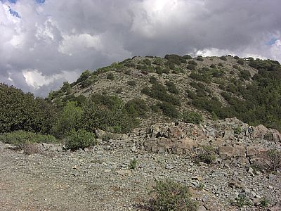 Auf dieser Anhöhe...