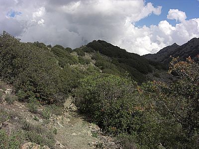 ...erkennt man erstmalig den Gipfel