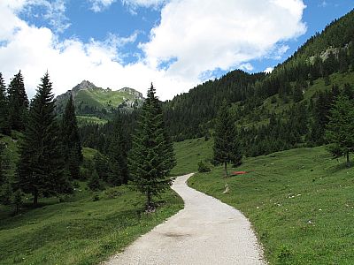 Der Weg führt zu Beginn direkt auf den Aggenstein zu