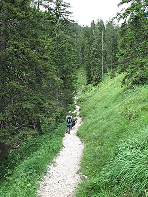 Immer noch durch Wald...