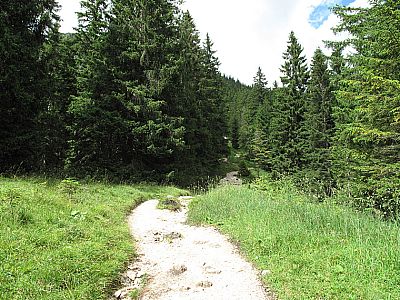 Langsam wird der Pfad...