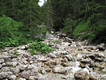 Rauschender Bach