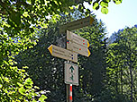 ...und gehen im Wald an einer Kreuzung geradeaus weiter...