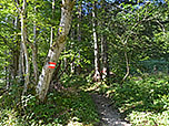 ...in Richtung Reichenbachklamm