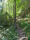 Parallel zum Reichenbach...
