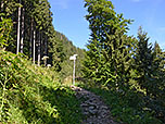 ...in Kehren empor...