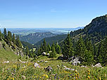 Blick Richtung Forggensee