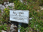 Bis zum Aggenstein ist es eine weitere gut halbe Stunde