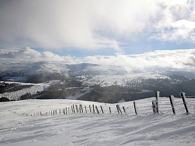 Für den Aufstieg orientieren wir uns an dem Zaun entlang des Bergrückens