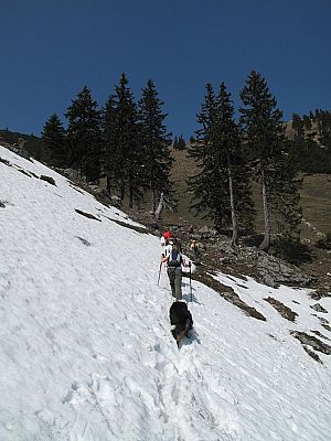 Wir queren nach der Geitauer Alm...
