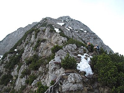 Zu Beginn regieren Schrofen und Latschen