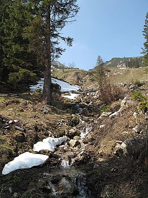 ...und blicken hinauf zur Geitauer Alm