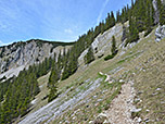 Nach den Almen wandern wir in Serpentinen bergauf