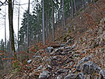 Der holprige Waldpfad...