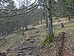 ...dreht der Pfad Richtung Süden