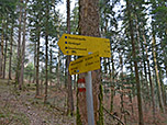 Den Abzweig zur Ruine Wartenfels und zum Schober lassen wir rechts liegen