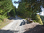 ...und folgen dem Forstweg bergauf