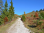 ...und wandern über freies Gelände der Angerlalm entgegen