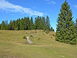 Vorm Weiher biegen wir rechts ab...