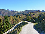 ...und folgen dem Forstweg hinunter nach Erpfendorf