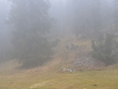 Nun wird es steiler.