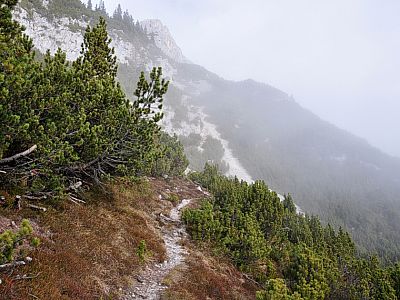 ... und auch die Sicht wird besser.