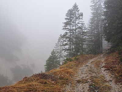 teils über Forststraßen, ...