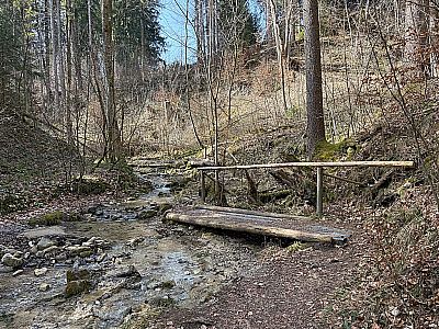 ...wandern wir durch die Feuerbachschlucht