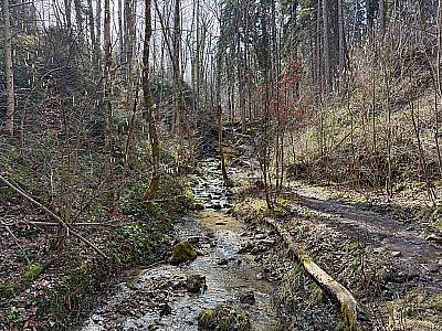 Zu Beginn bleiben wir stets am Bachlauf