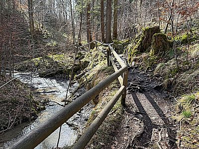 Wir kehren zurück zum Bachlauf...