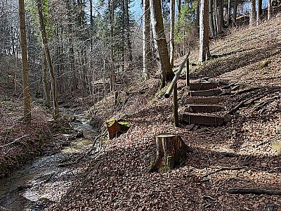 ...wandern wir über Stufen...