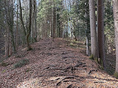 ...leitet uns Rücken hinauf