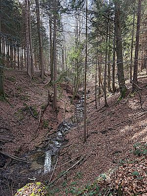 Blick hinunter zum Bachgraben