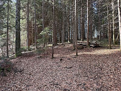 Wir bleiben zuerst am Rücken...