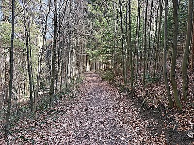 ...und unternehmen erst einmal den Abstecher...