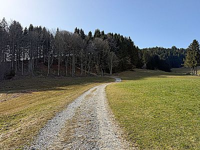 Kurz vor dem Hof weichen wir nach rechts aus...