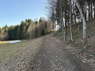 ...und folgen dem Karrenweg empor...