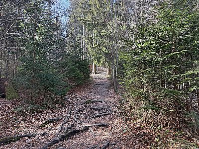 ...verbuchen wir zügig Höhenmeter auf der Habenseite