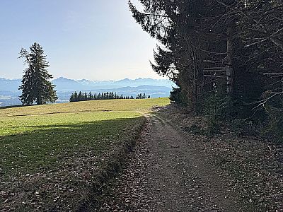 Nach 15 Minunten erreichen wir über einen Karrenweg...