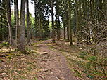 ...und Waldstücke wechseln sich ab