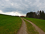Ein Karrenweg leitet uns...