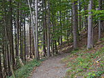 ...und wandern über einen Pfad...