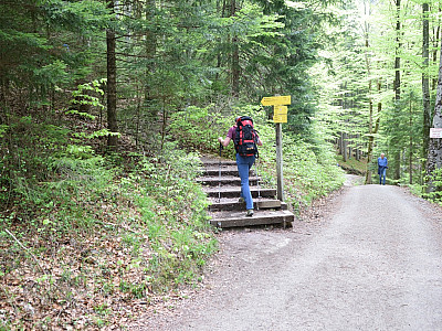 ein Stück hinter dem Riedersteinhaus beginnt der Kreuzweg auf den Riederstein