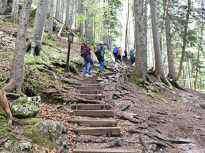 Zahlreiche Stufen führen uns den Riederstein hinauf