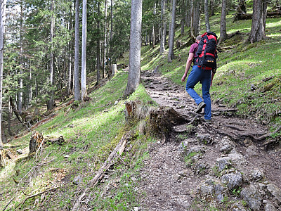 Anschließend steigen wir wieder auf