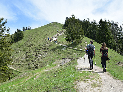 Über eine Wiese steigen wir weiter auf zum höchsten Punkt unserer Tour